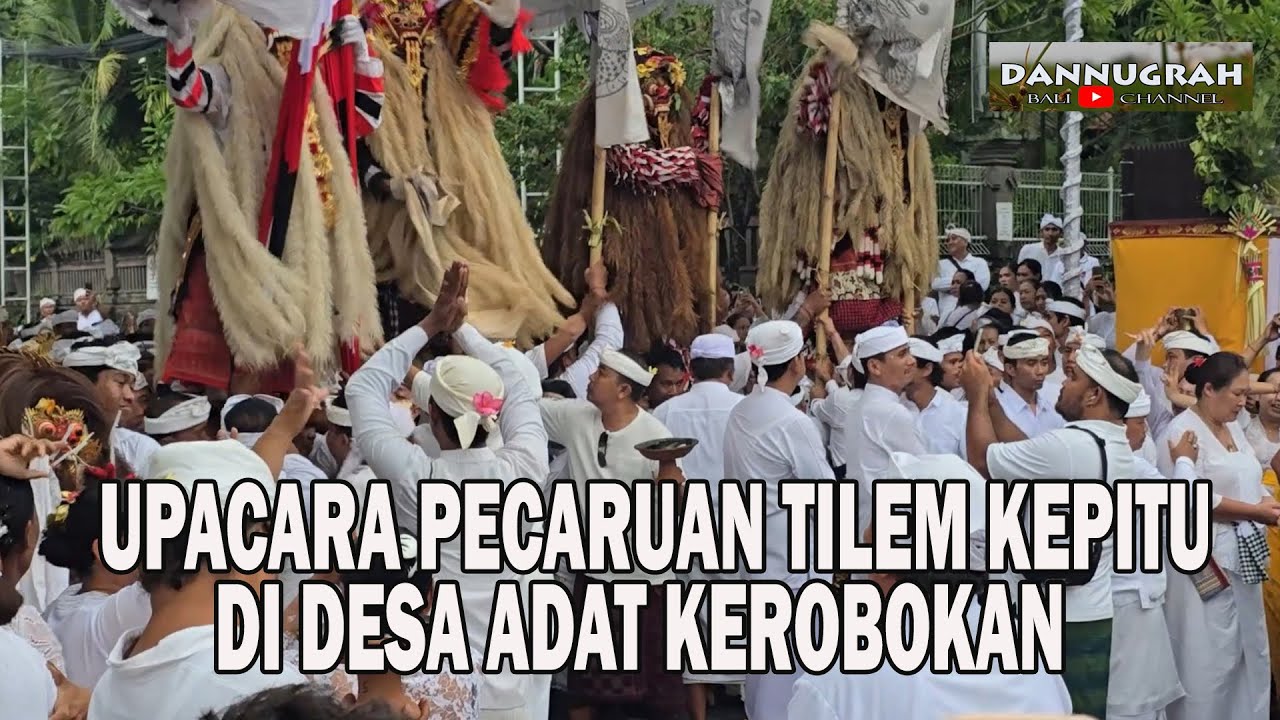 Upacara Pecaruan Tilem Kepitu Di Desa Adat Kerobokan Diwarnai Histeris Kerahuan Para Pepatih