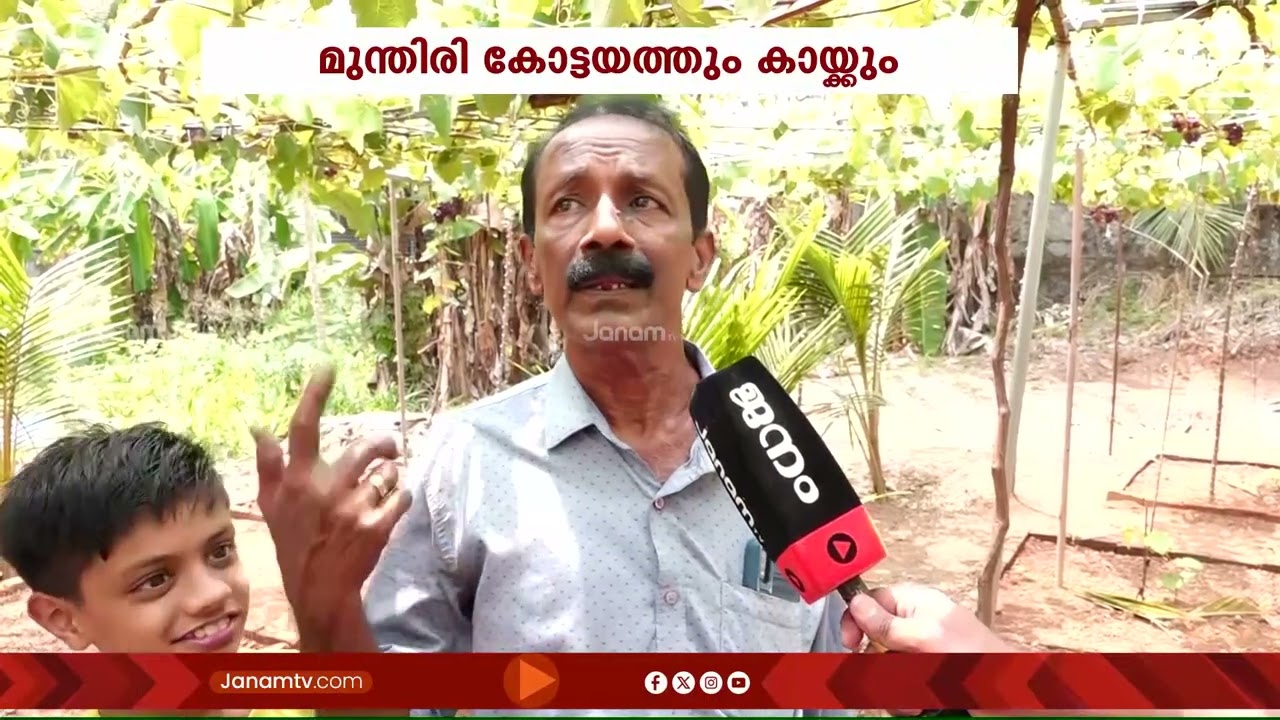 മുന്തിരി തോട്ടം കാണാൻ കേരളം വിടണ്ട; കോട്ടയത്തെ മുന്തിരി കാഴ്ചകൾ കാണാം | Grapes