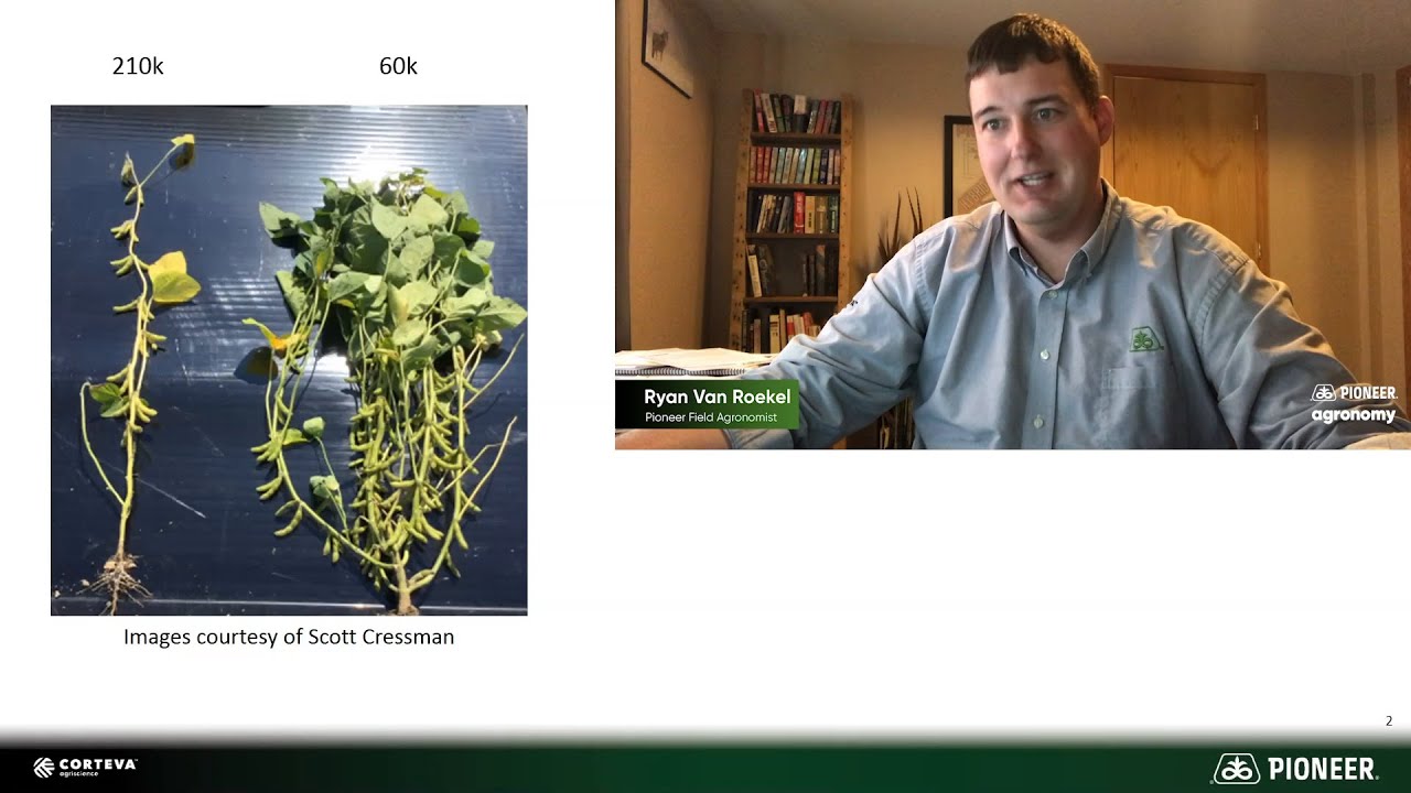 Optimizing Yield with Pioneer® brand soybeans: Understanding Variable Rate Seeding