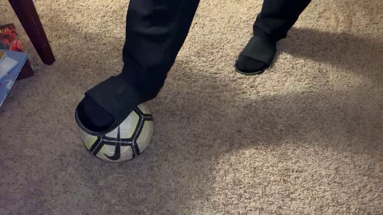 V10 Bottom-In Behind Plant/Opposite Dec2