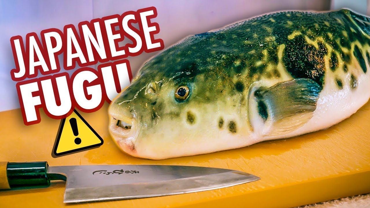 I Tried Japan's Most Dangerous Food | Poisonous Blowfish (Fugu)