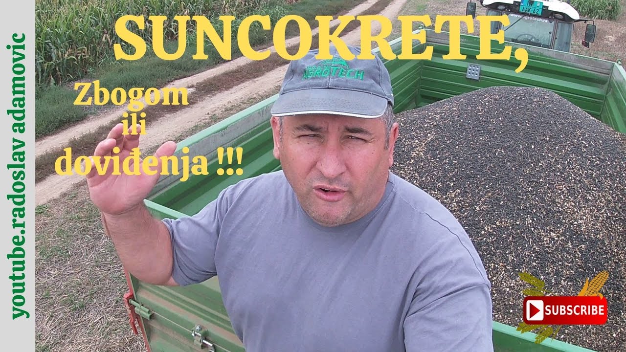 Gotova žetva: SUNCOKRETE, ZBOGOM ILI DOVIĐENJA !!!  SUNFLOWERS, GOODBYE FOREVER OR SEE YOU !!!