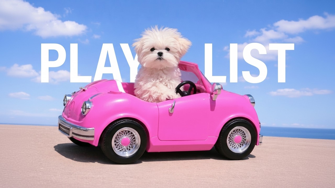 Playlist | 나랑 드라이브 갈래? Fresh & Chill Spring Pop 🌸 Perfect for Picnic, Drive, and Cafe Vibes (2026)