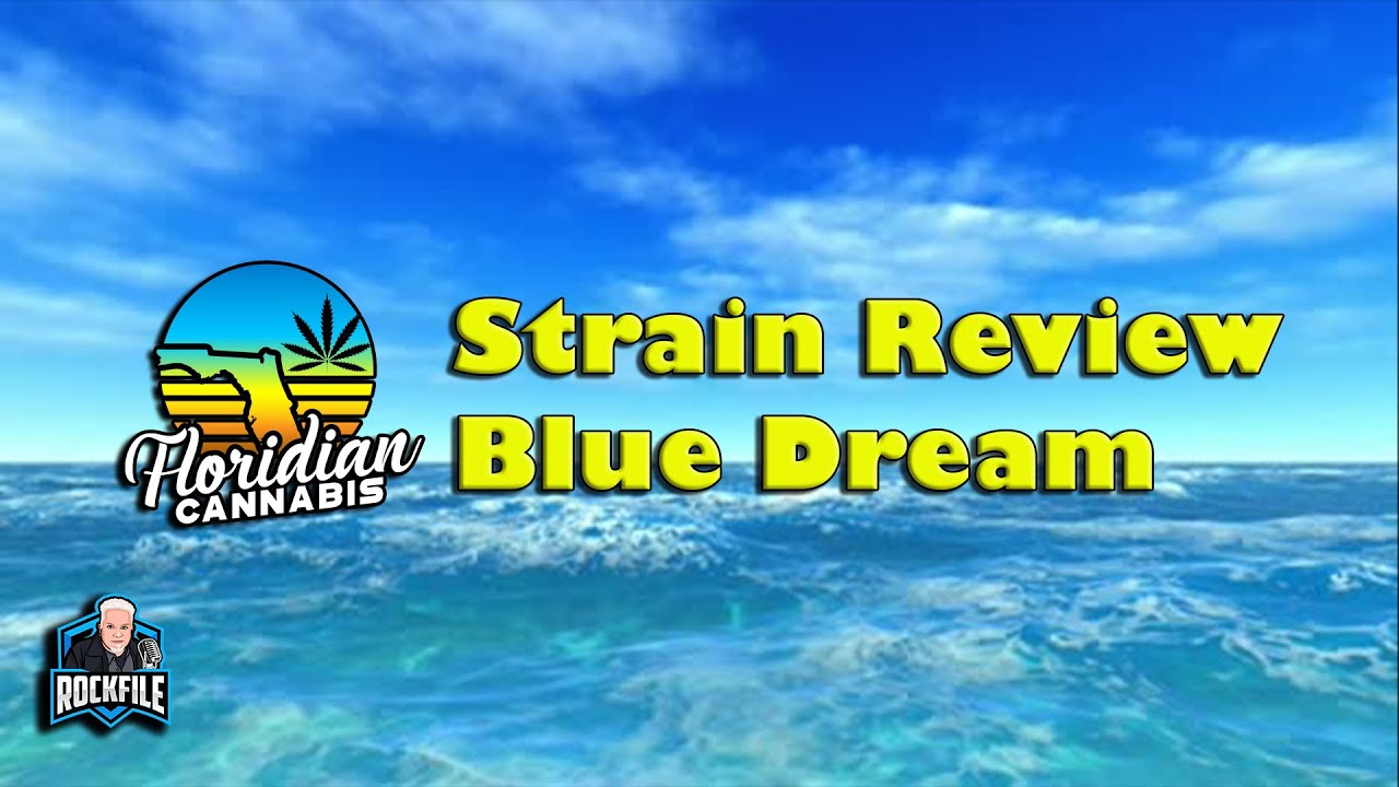 STRAIN REVIEW: Blue Dream from Columbia Care FLORIDIAN CANNABIS