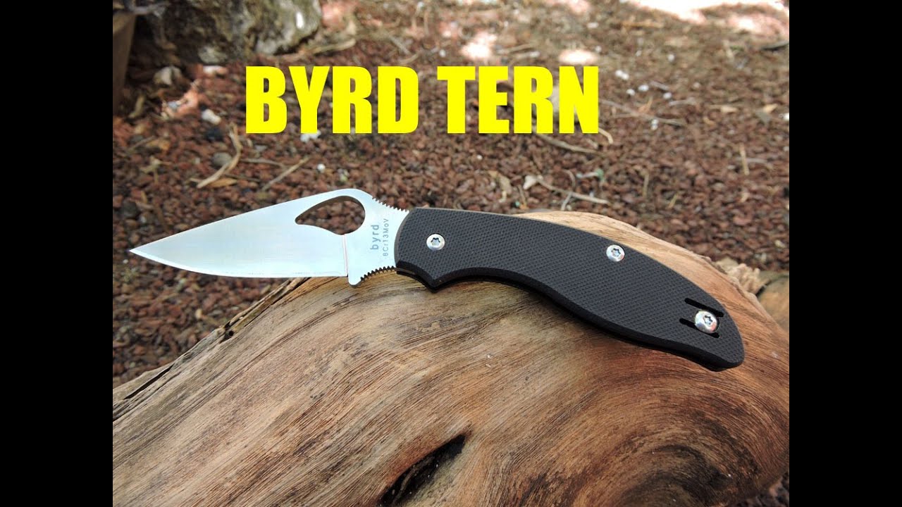 COUTEAU BYRD TERN BY23GP