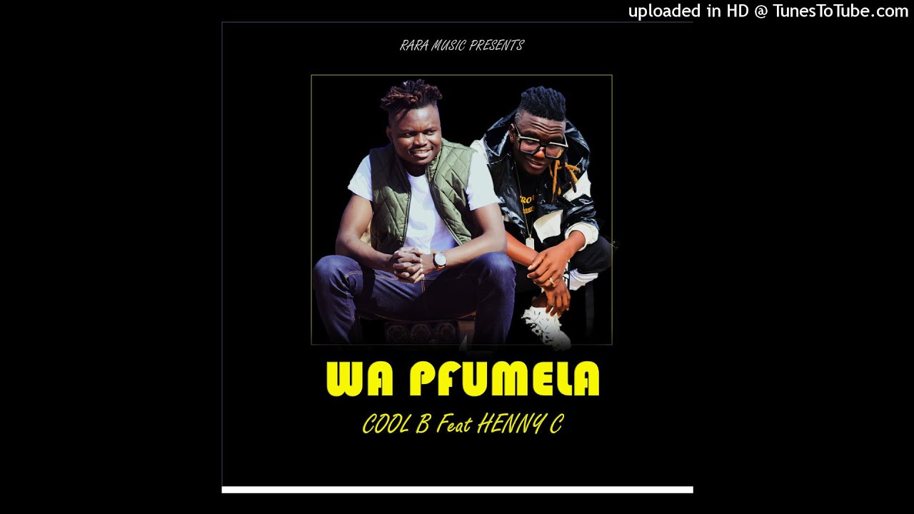 Wa pfumela