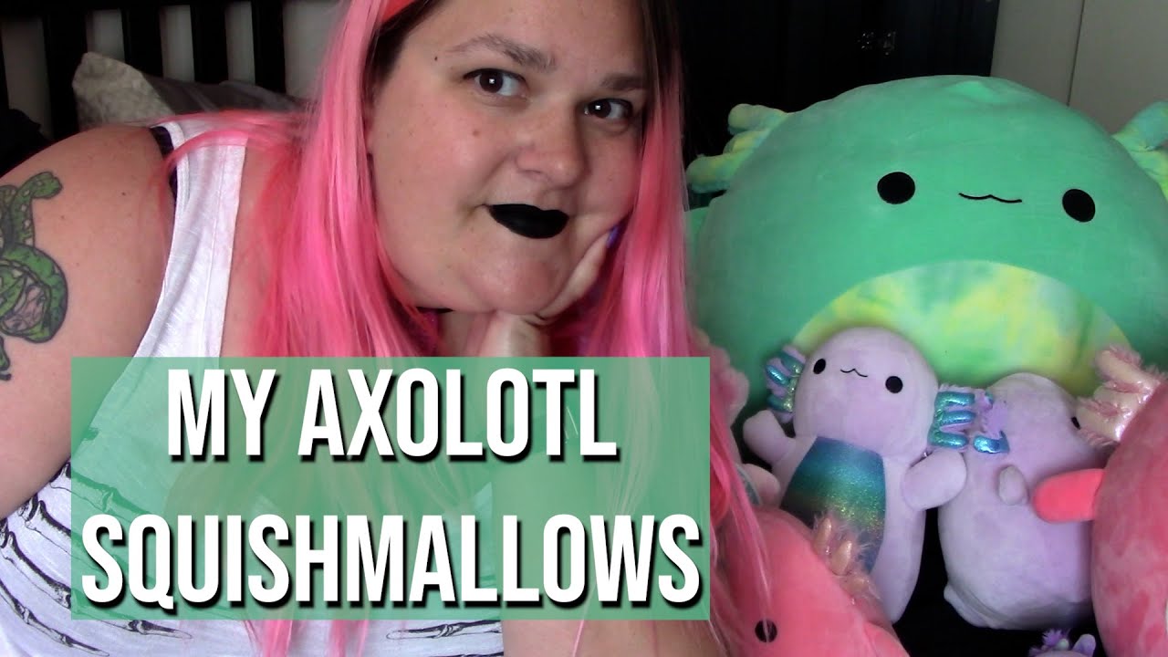 🦎 My Axolotl Squishmallow Collection - Collection Dive! 🦎 - Elyse Explosion