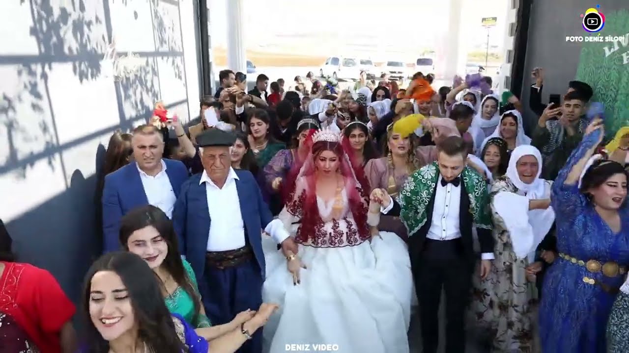 Şırnak Silopi Düğünleri Mehmet  Behremen Düğünü Part 3 Behremen Ailesinin Düğünü