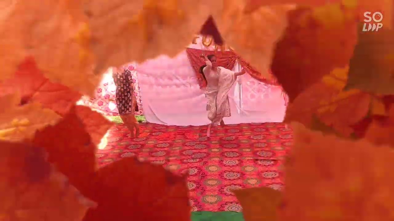 Celebrating Teej Festival in Shri Hemkunt Modern School Batala( Dance Performance ) From 8th class.