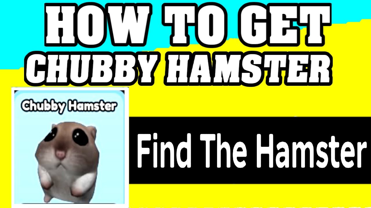 How To Get CHUBBY HAMSTER in FIND THE HAMSTER ROBLOX [walkthrough] [UPDATE] [FIND GAME]