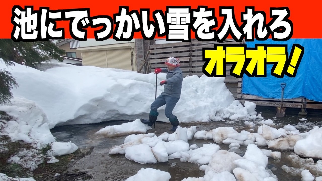 2026-03-14（土）池の水が多いから雪氷を落とせ！武七の除雪・雪かき日記　snowremoval snowplow ASMR
