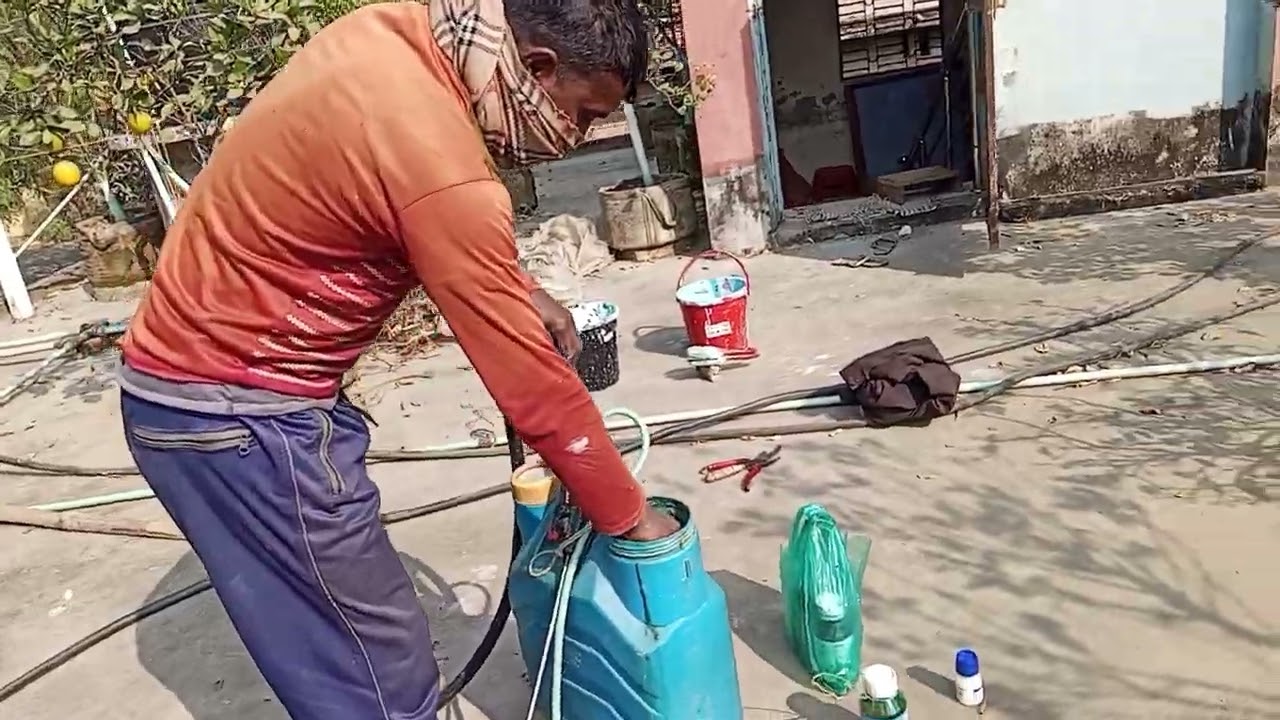 জানুয়ারি মাসে ছাদ বাগানের ঔষধ এবং সার ব্যবস্থাপনা।