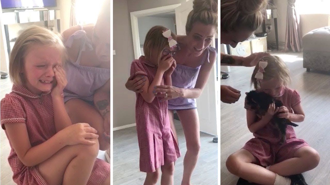 Emotional Puppy Surprise After First Pet Died