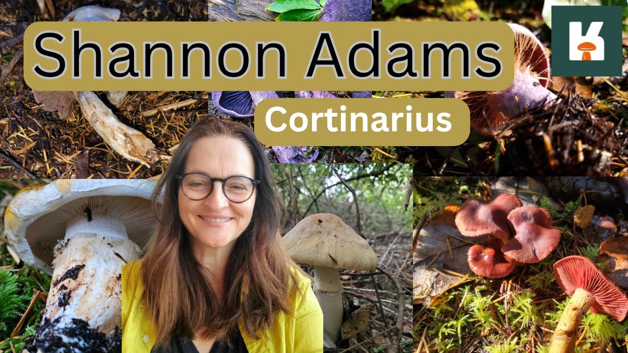 Shannon Adams- Cortinarius Talk, January 2025