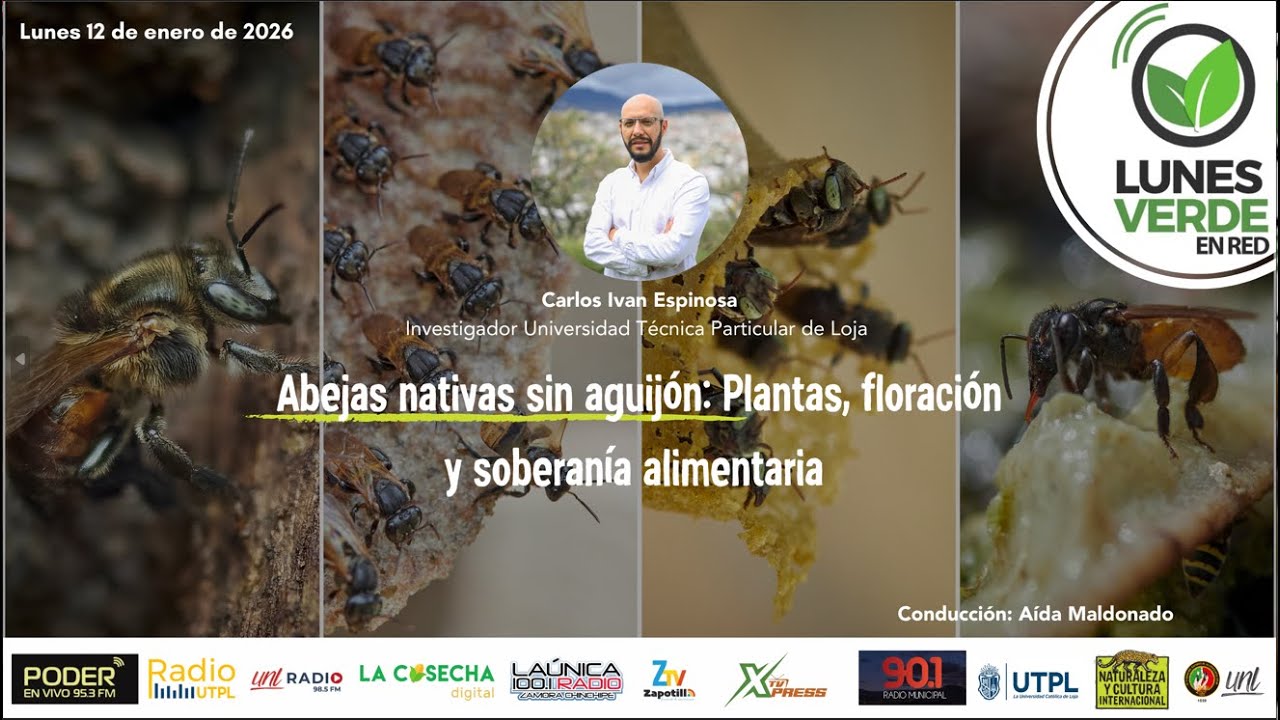 Abejas nativas sin aguijón: Plantas, floración y soberanía alimentaria