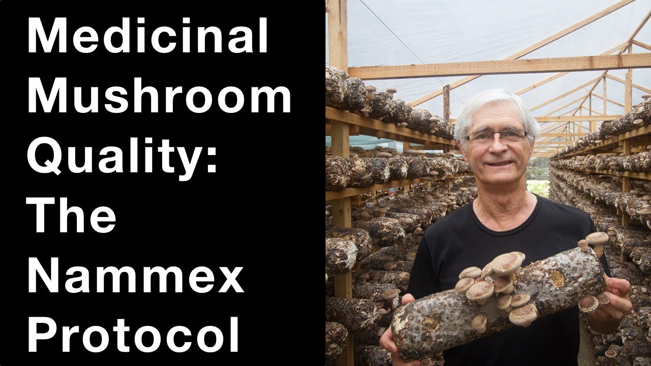 Medicinal Mushroom Quality: The Nammex Protocol