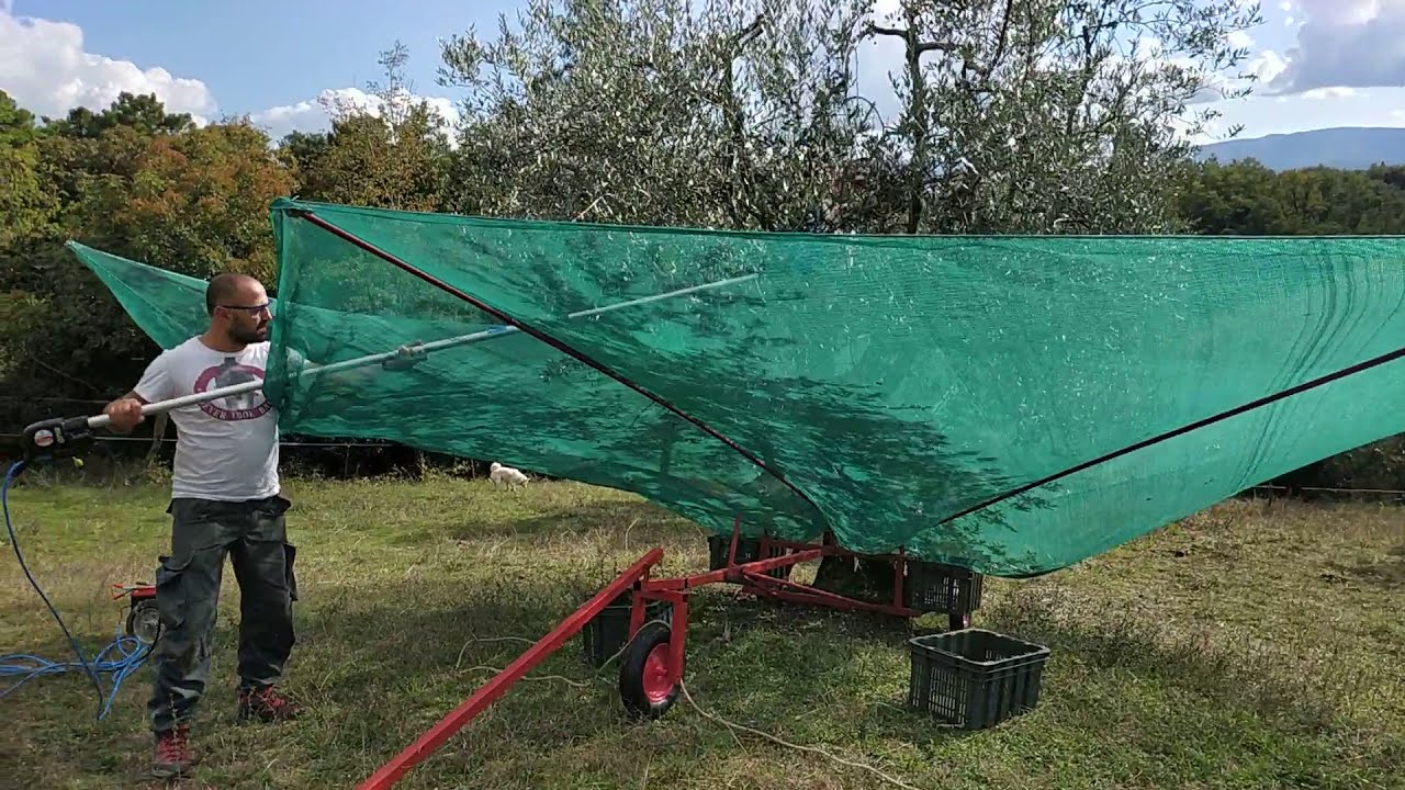 Ombrello rovescio per raccolta olive