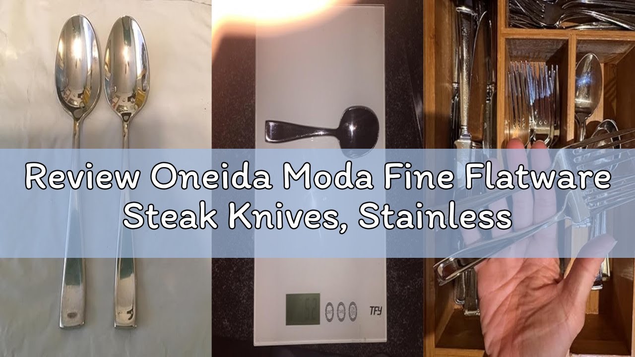 Review Oneida Moda Fine Flatware Steak Knives, Stainless