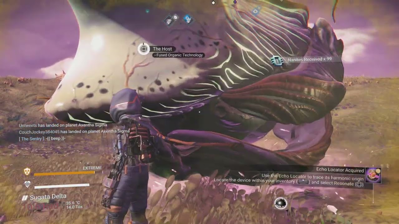 Sentient ship