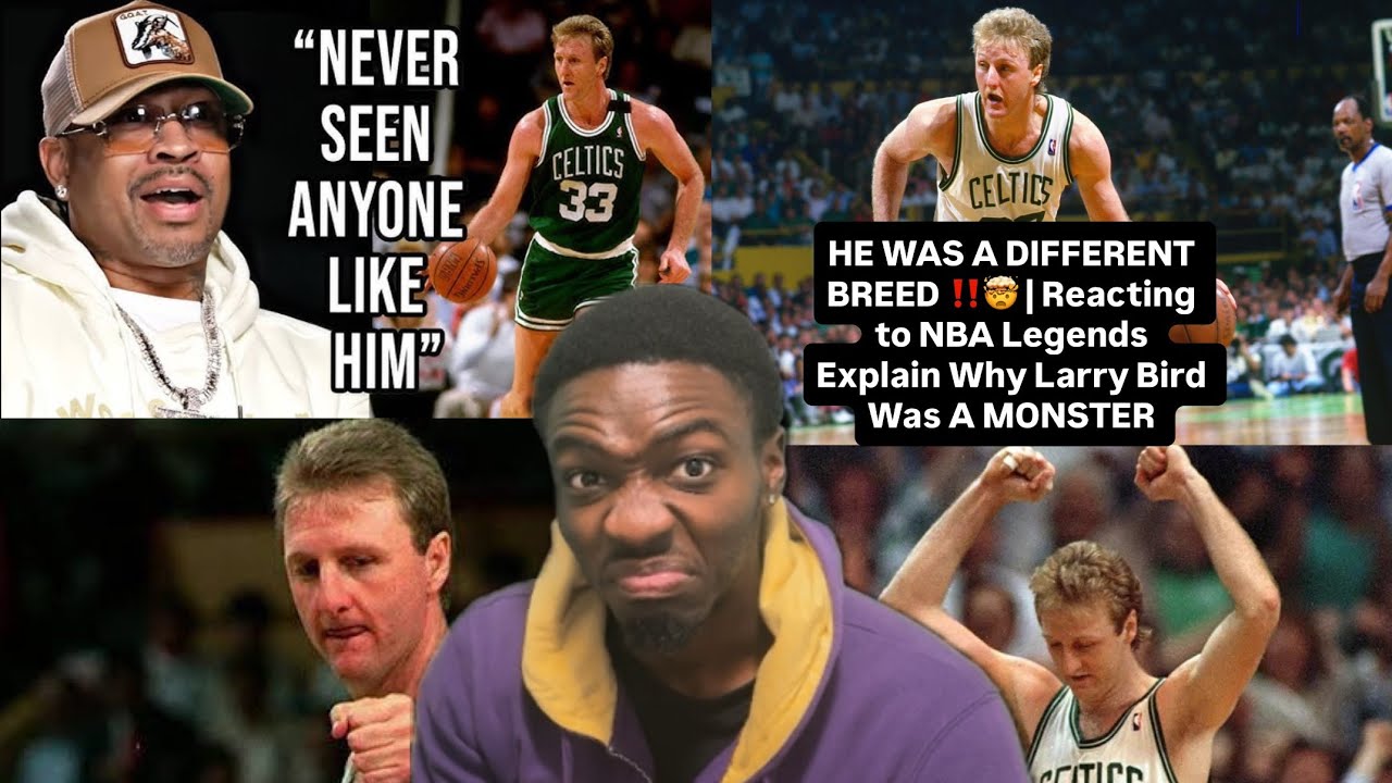 Он основал клуб "50/40/90"!!? | Реакция на объяснения легенд НБА о том, почему Ларри Берд был мон...