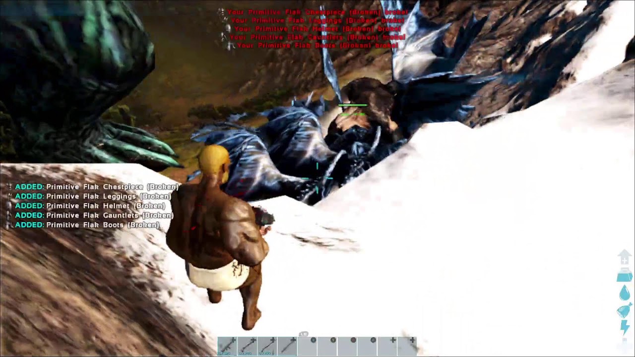 Ark N Chill 81