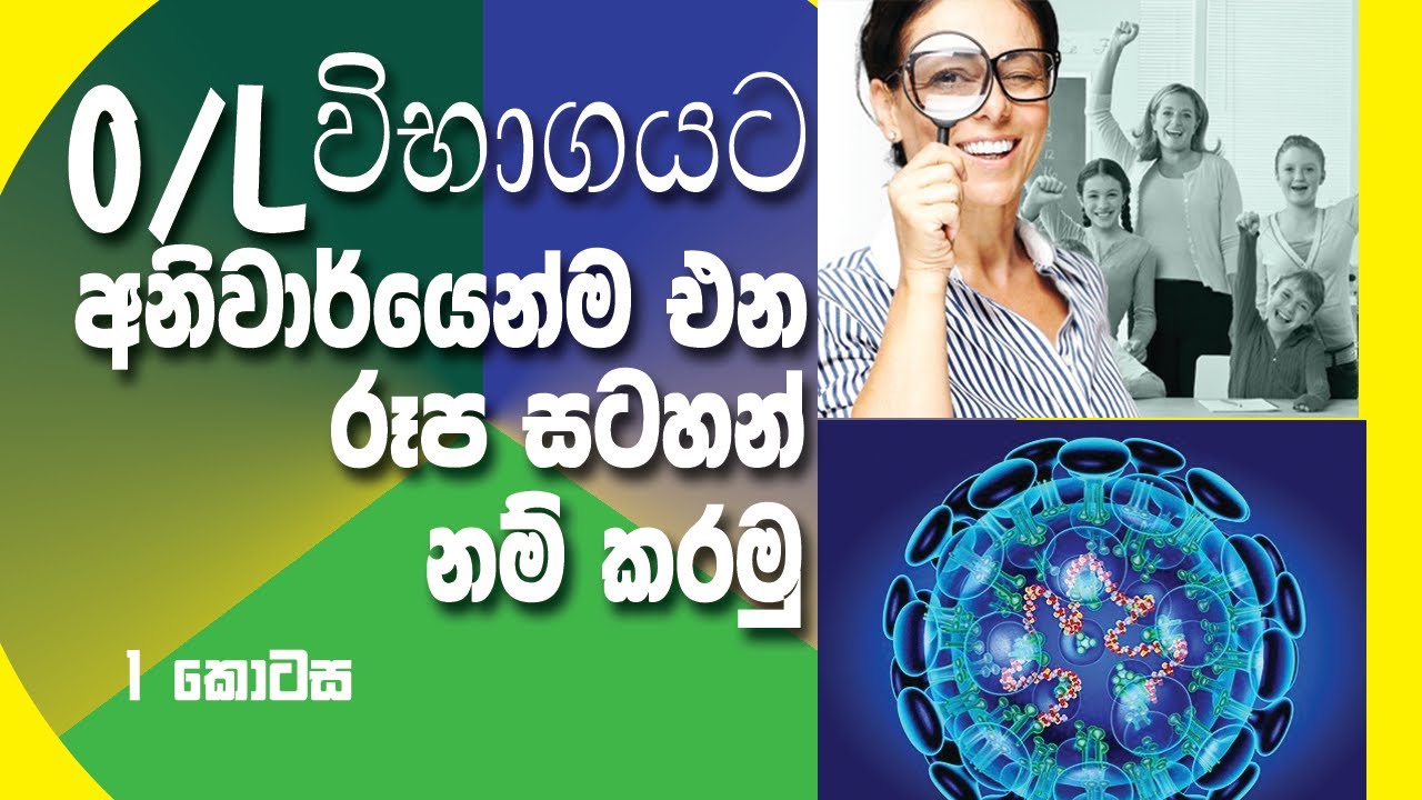 O/L Science - Naming Pictures - (ජීව විද්‍යාව රූප සටහන් නම් කරමු)