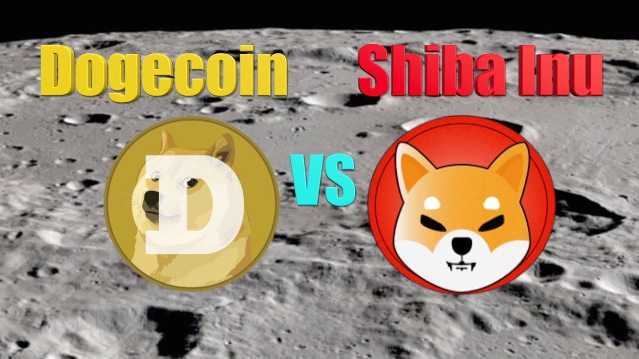 Dogecoin VS Shiba Inu - Is Shiba Inu the Dogecoin killer? Emergency Market Update!!!