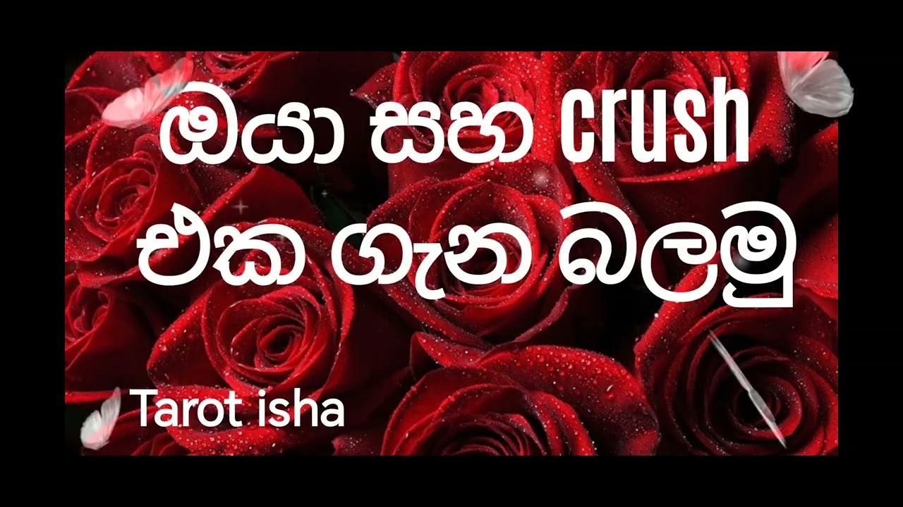ඔයා සහ crush එක ගැන බලමු 