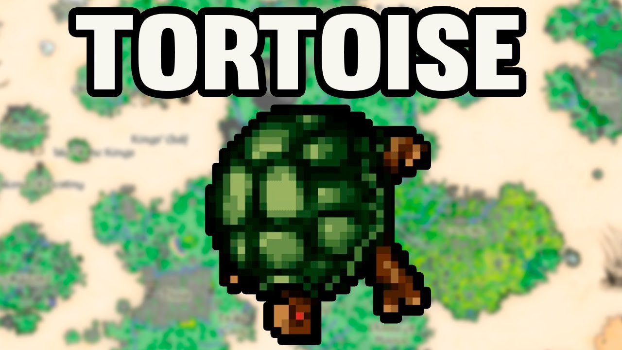 Tibia Onde Ca&ccedil;ar Tortoise