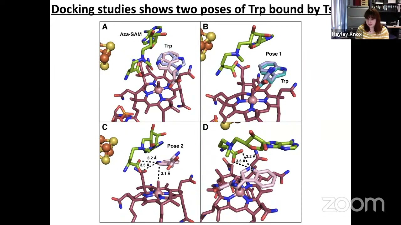 Hayley Knox &ndash; Structural basis for non-radical catalysis by TsrM, a radical SAM methylase