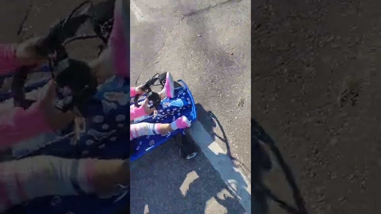 my girly girl racer no fear at 3yoa