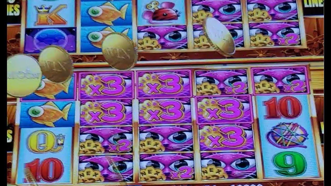 Biggest on YouTube !! Miss Kitty Massive Jackpot Handpay !! As of April 2019