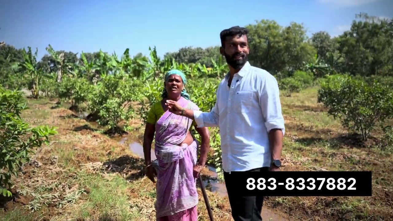 விருதுநகர் மாவட்டத்தில் செழிப்பான அழகான தோட்டம் விற்பனைக்கு வந்துள்ளது நேரடி ஓனர் 7.40