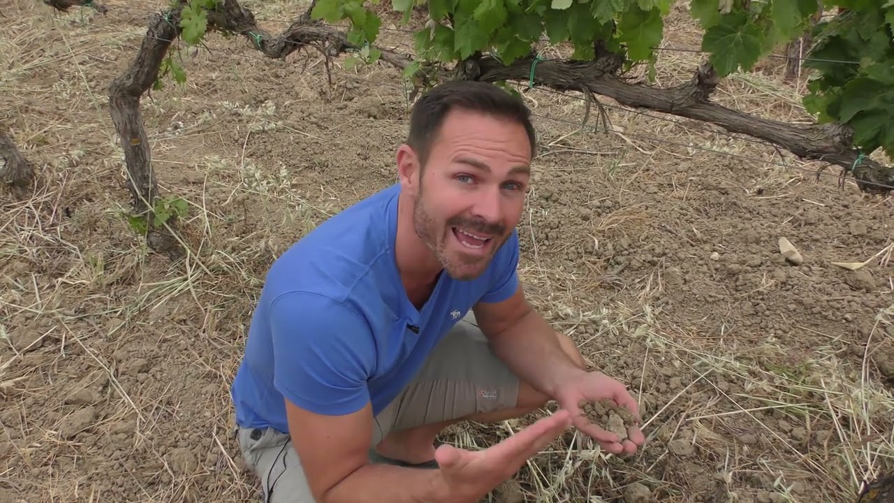 Top Sardinian Wines - Cantina Lilliu