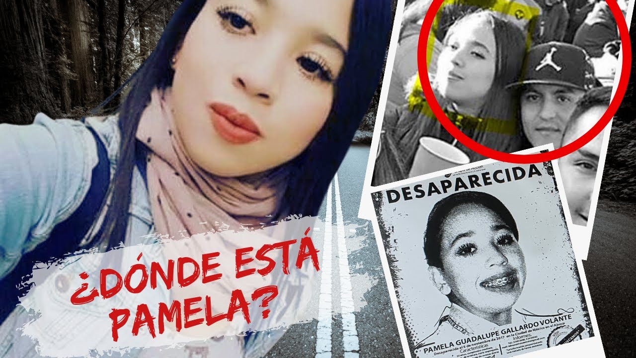La INEXPLICABLE DESAPARICIÓN de Pamela Gallardo Volante