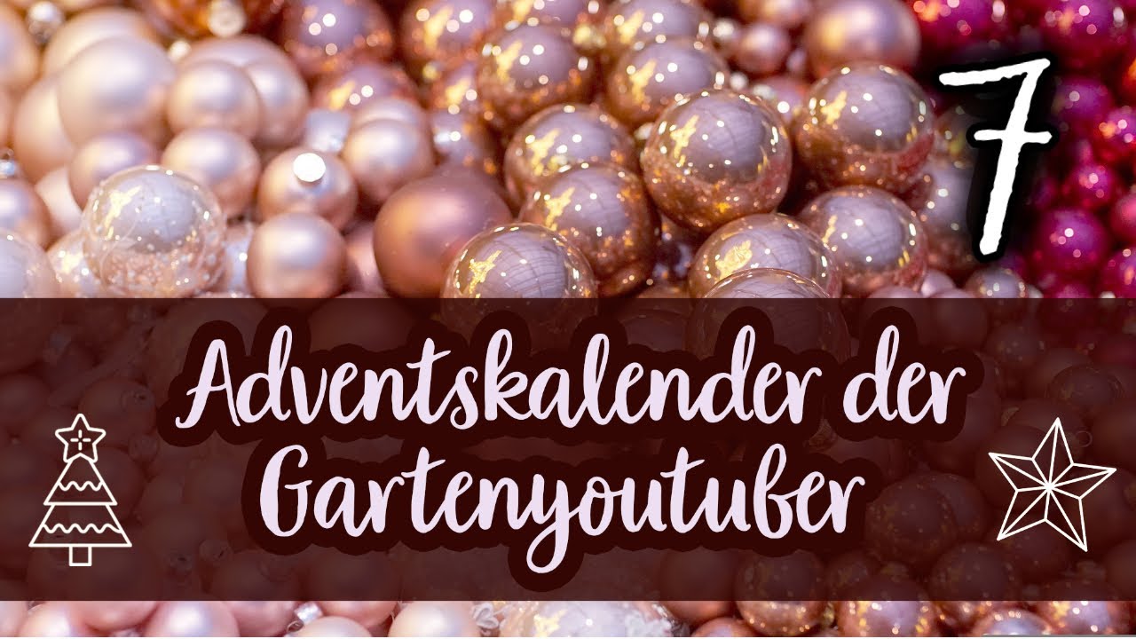 Adventskalender der Gartenyoutuber Türchen Nr. 7