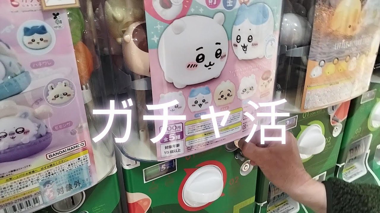 【ガチャ活】回してみた☺️