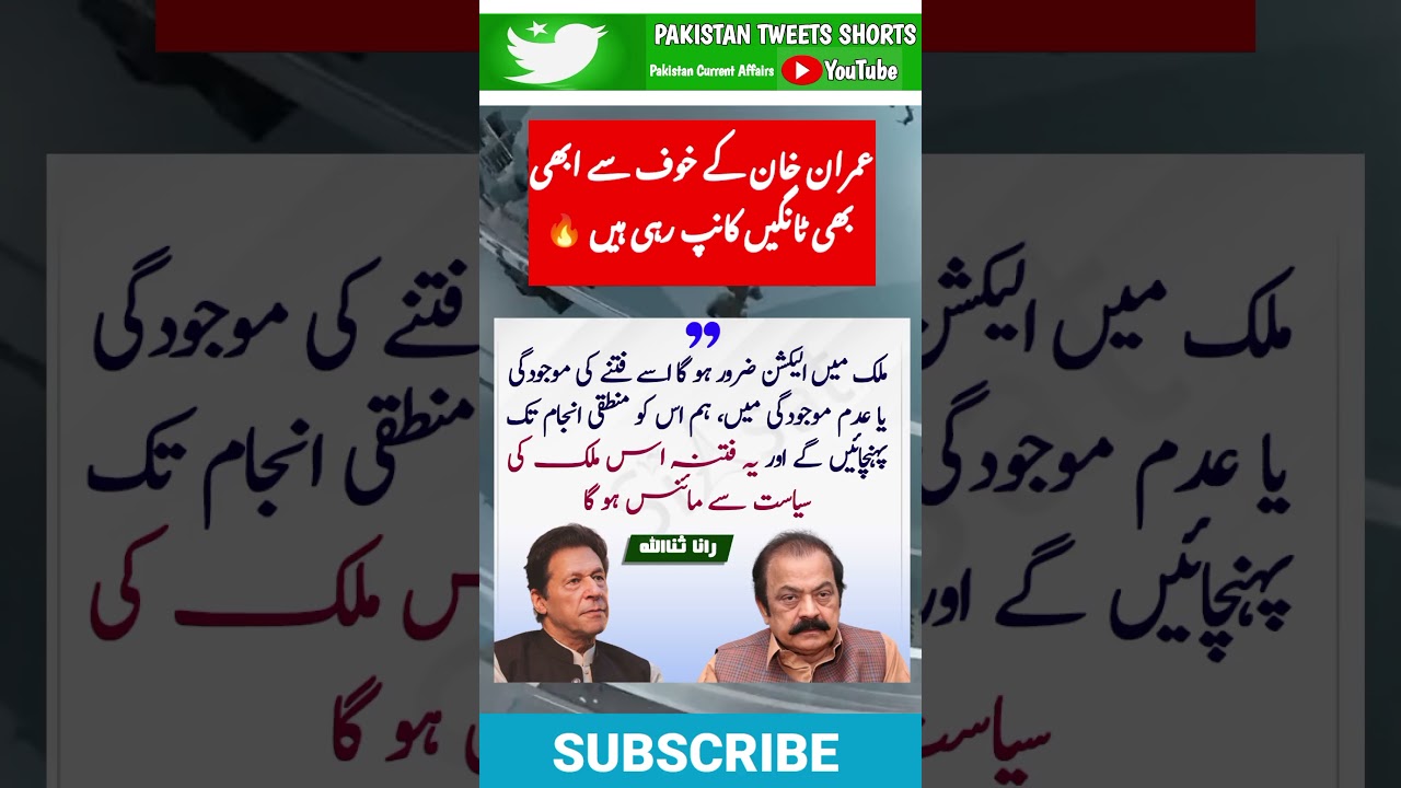 Rana Sana ullah on Imran khan🇵🇰🔥 #shortfeed #news #imrankhan