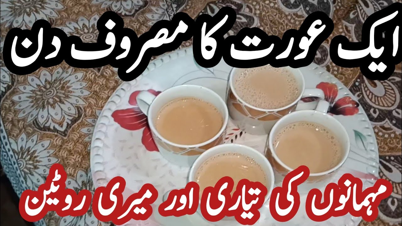 Aik Aurat Ka Masrof Din | Mehmano Ki Tayyari Aur Ghar Ki Routine | Small Home velogs 
