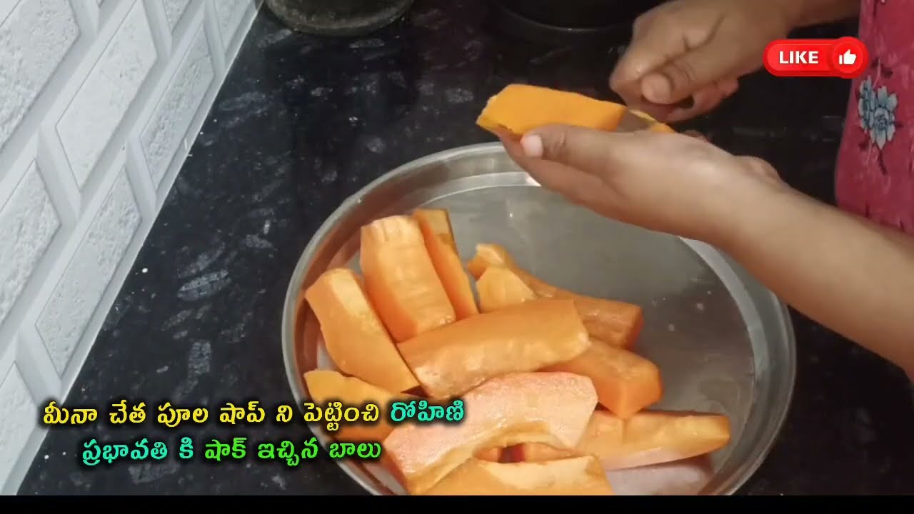Gundeninda Gudigantalu Serial Review మీనా చేత పూల షాపు పెట్టించి రోహిణి ప్రభావతికి షాక్ ఇచ్చిన బాలు 