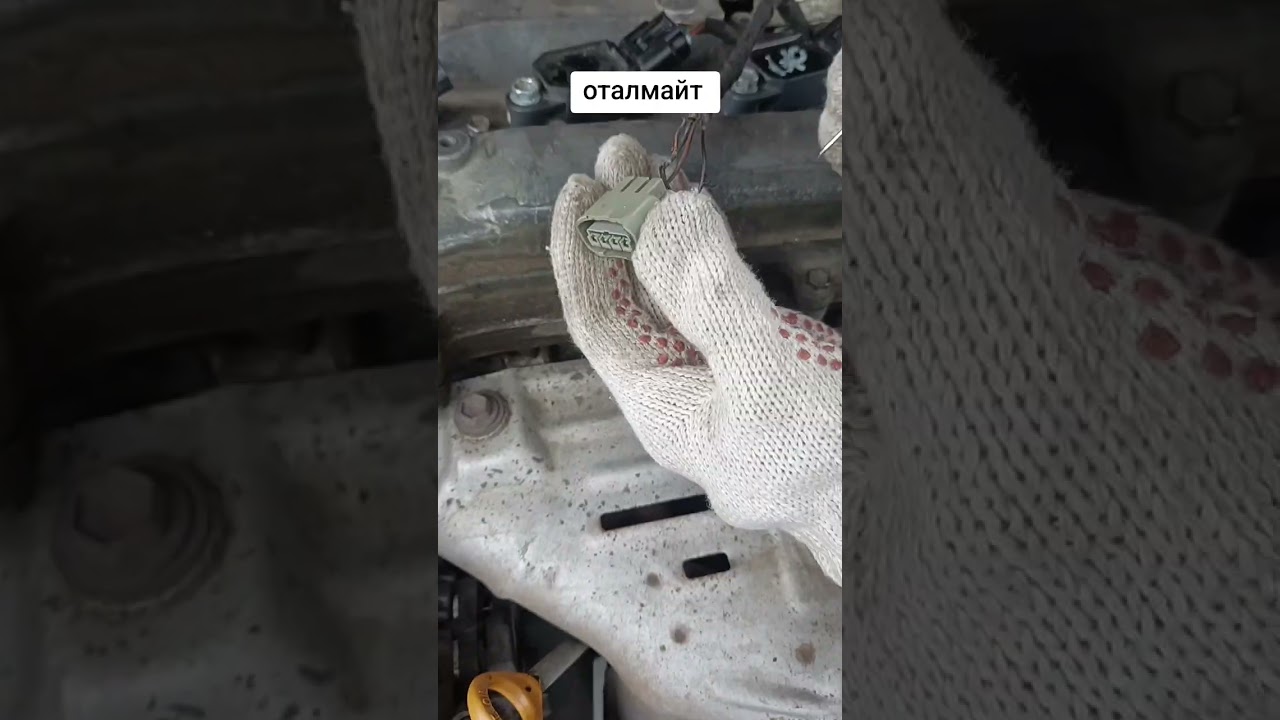 Оталмайт оскемен выезд 