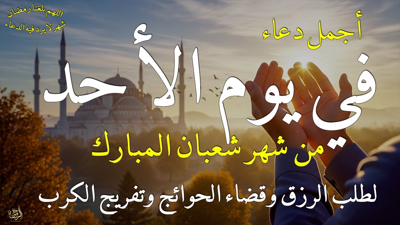 دعاء في يوم الأحد لطلب الرزق وقضاء الدين وتفريج الهم وتيسير الأمور باذن الله🎧😌