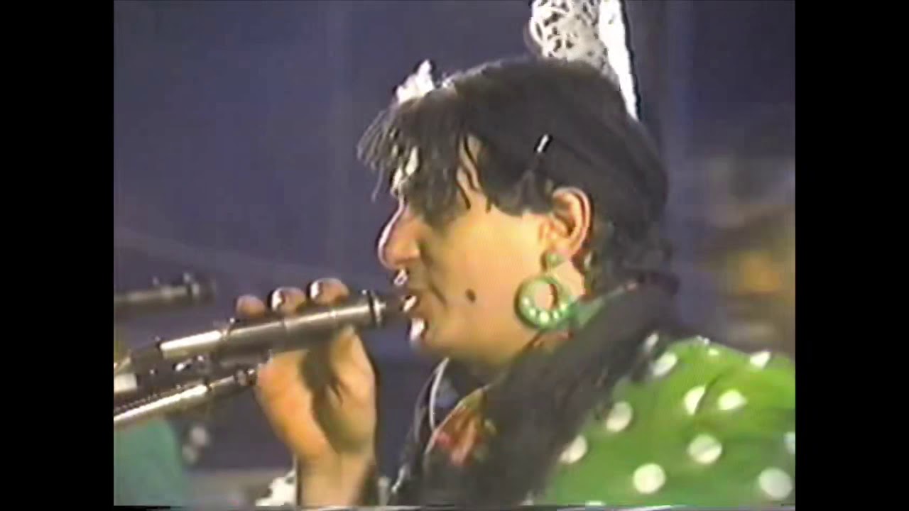 GRUPO ARAMO “LOS LAGARTOS DE V” (Pepe DaRosa) audio en directo