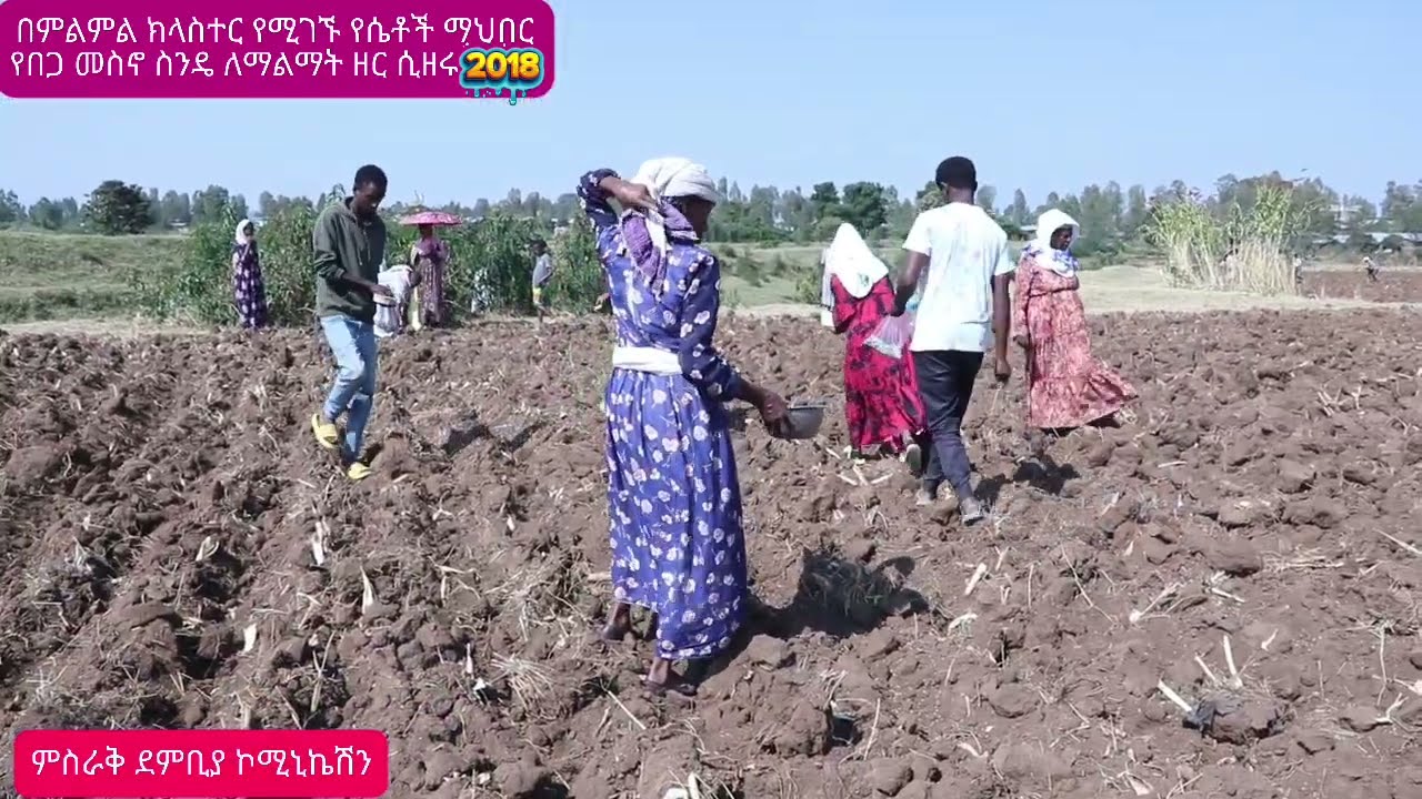የ2018 የሴቶች ማህበር በስንዴ ልማት ዝግጅት ላይ