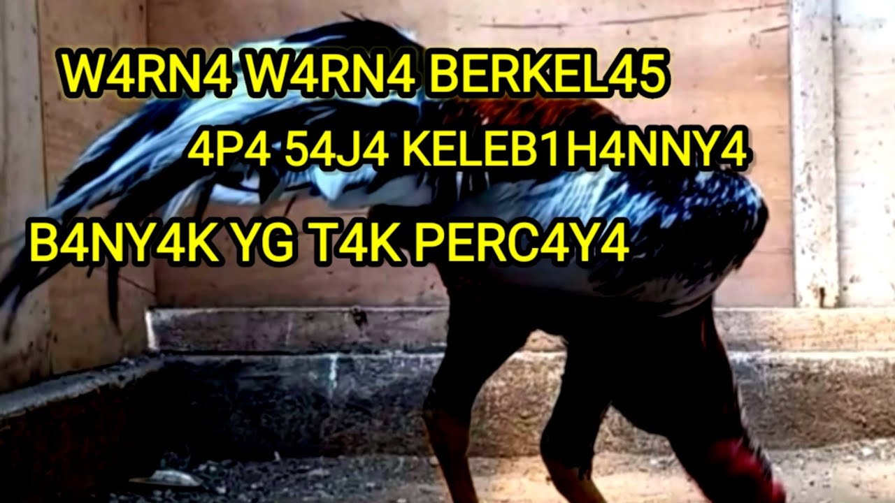 W4RNA W4RNA BERKEL45 D4N JUML4H KEMEN4N64NNY4
