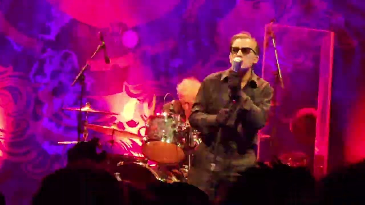 The Damned 