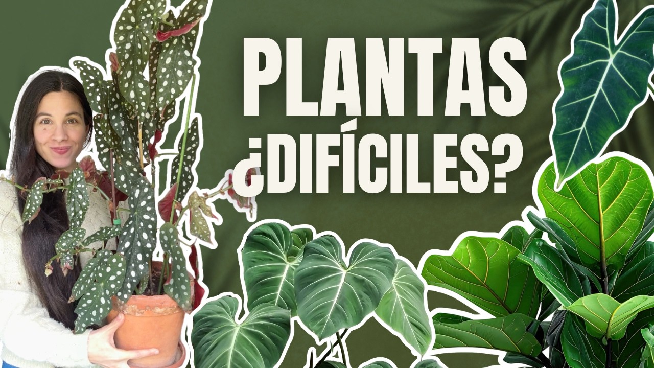 Pensaba que estas PLANTAS ✨ eran DIFÍCILES pero estaba equivocada!