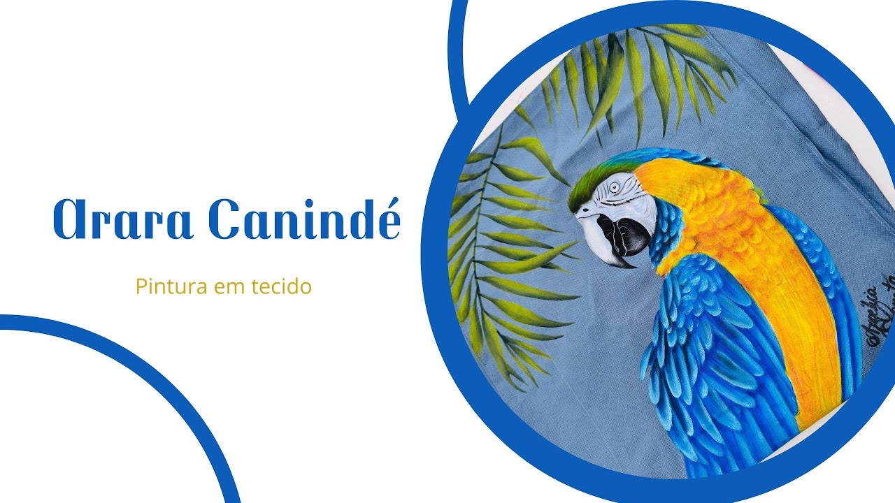 Como Pintar Arara Canindé no Tecido | Aula Completa