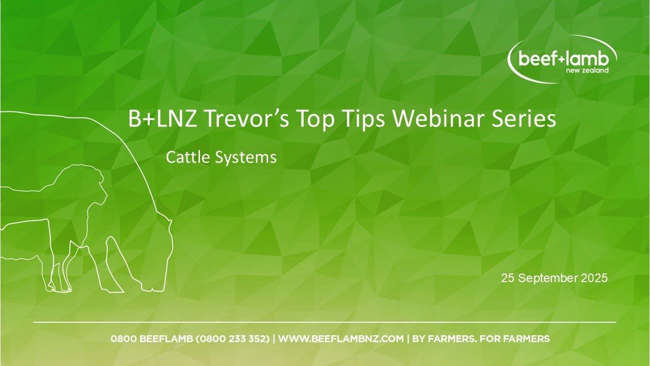 B+LNZ Trevor's Top Tips Webinar series - part three: Cattle Systems