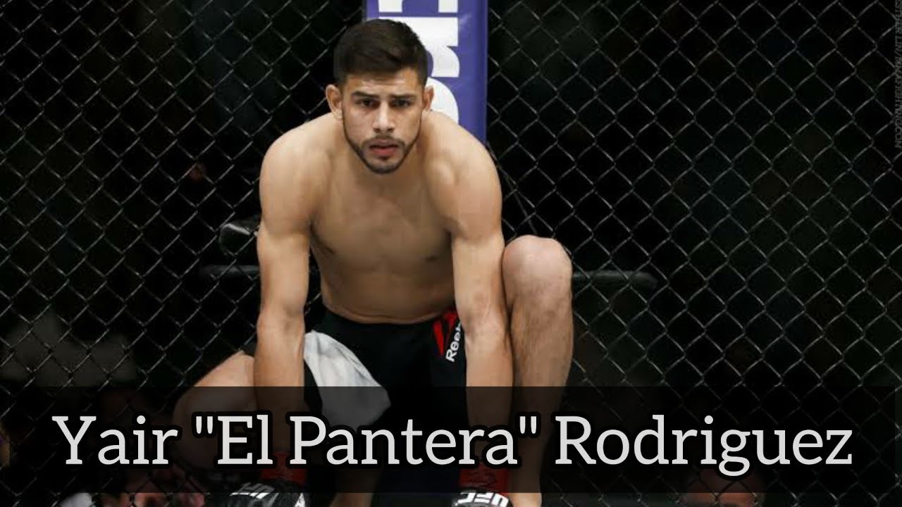 Yair Rodriguez Highlights - Courtesy Call